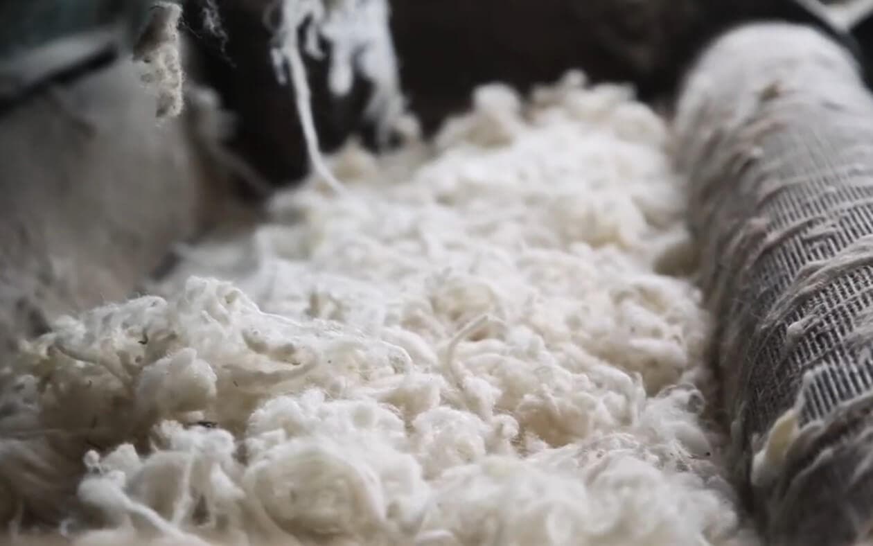 Industrial machine processing large quantities of raw wool